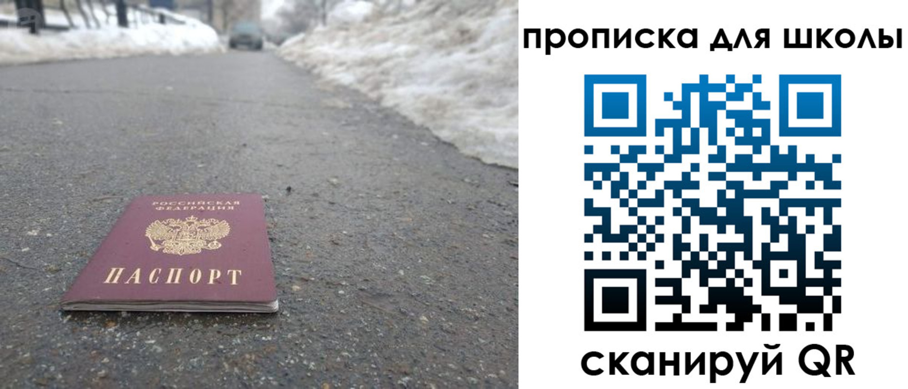 прописка для школы в Елизово